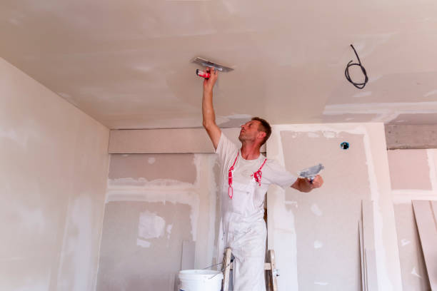 Best Ceiling Drywall Installation  in San Diego, CA